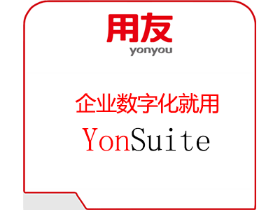 雅安YonSuite 